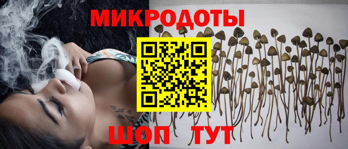 Псилоцибиновые грибы ЛСД Новочебоксарск